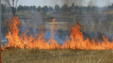 Photo of खेतों में अवशेष जलाने पर लगेगा 15 हजार जुर्माना…