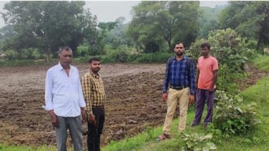Photo of सूखा प्रभावित गांवों का राजस्व और कृषि विभाग के टीम द्वारा निरीक्षण करके नजरी आकलन तैयार किया जा रहा है।